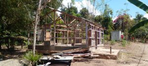 Rumah Peninggalan Orang Tua Dibongkar, Anak Yatim Piatu Penyandang Disabilitas di TTU Kini Kehilangan Tempat Tinggal